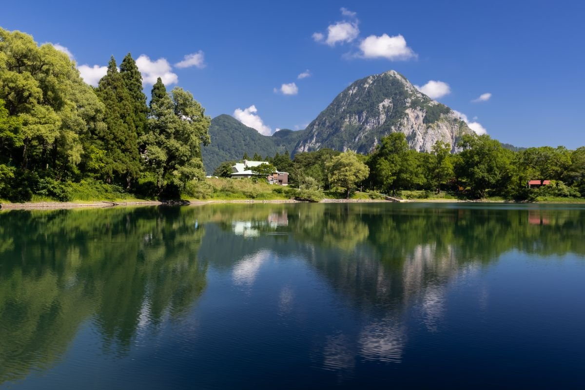 🏞️ 기타모토 자연관찰공원 (키타모토시젠칸사츠코엔) 이미지 6